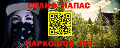 mdpv Краснознаменск