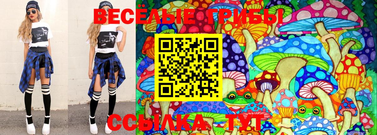 Галлюциногенные грибы Psilocybine cubensis Железногорск
