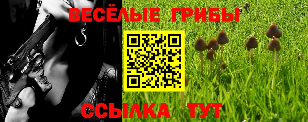 Железногорск  Псилоцибиновые грибы Cubensis  Вход с VPN 