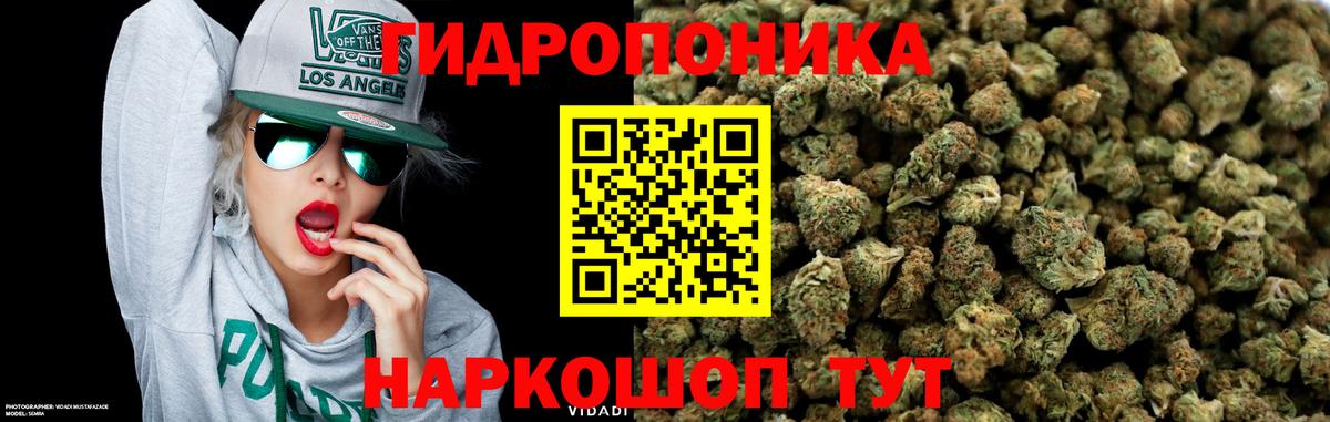 Железногорск  Конопля конопля  Бошки Шишки конопля  Вход с VPN  МАРИХУАНА SATIVA & INDICA  Шишки марихуана Amnesia 